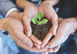 Top Investors Targeting Charleston: Here's Why!