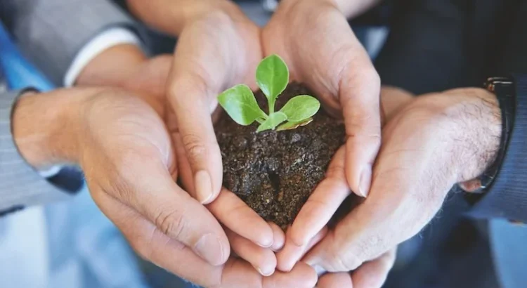 Top Investors Targeting Charleston: Here's Why!