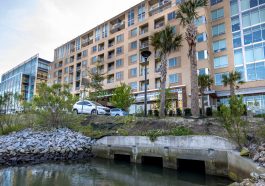 Impact of Climate Risk on Charleston Property Values